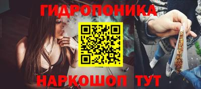 хмурый Жуковский