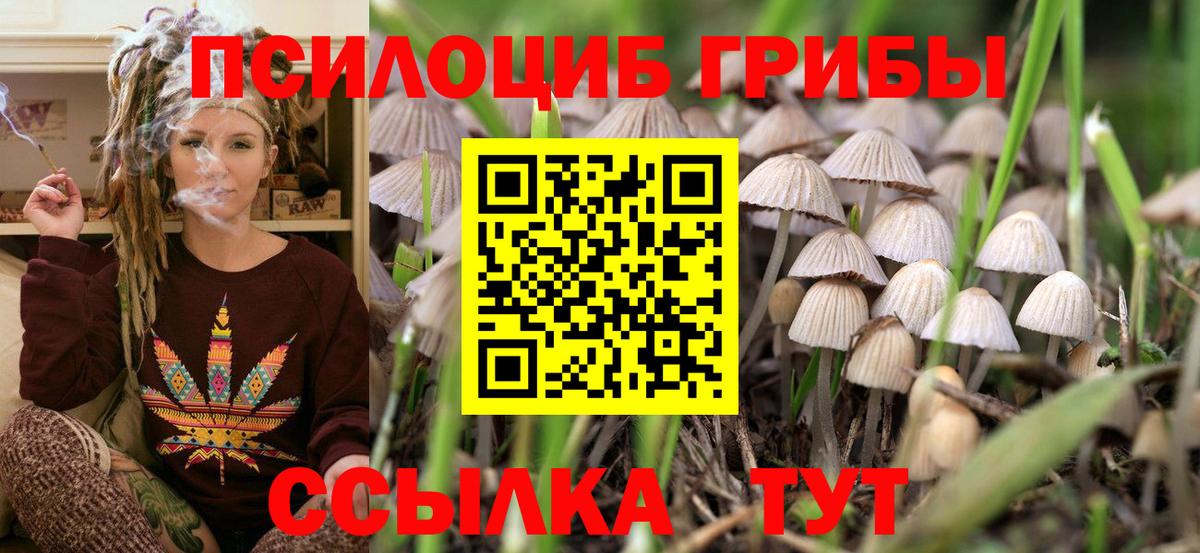 Псилоцибиновые грибы MAGIC MUSHROOMS  продажа наркотиков  Вход с VPN  Москва  Галлюциногенные грибы мухоморы 